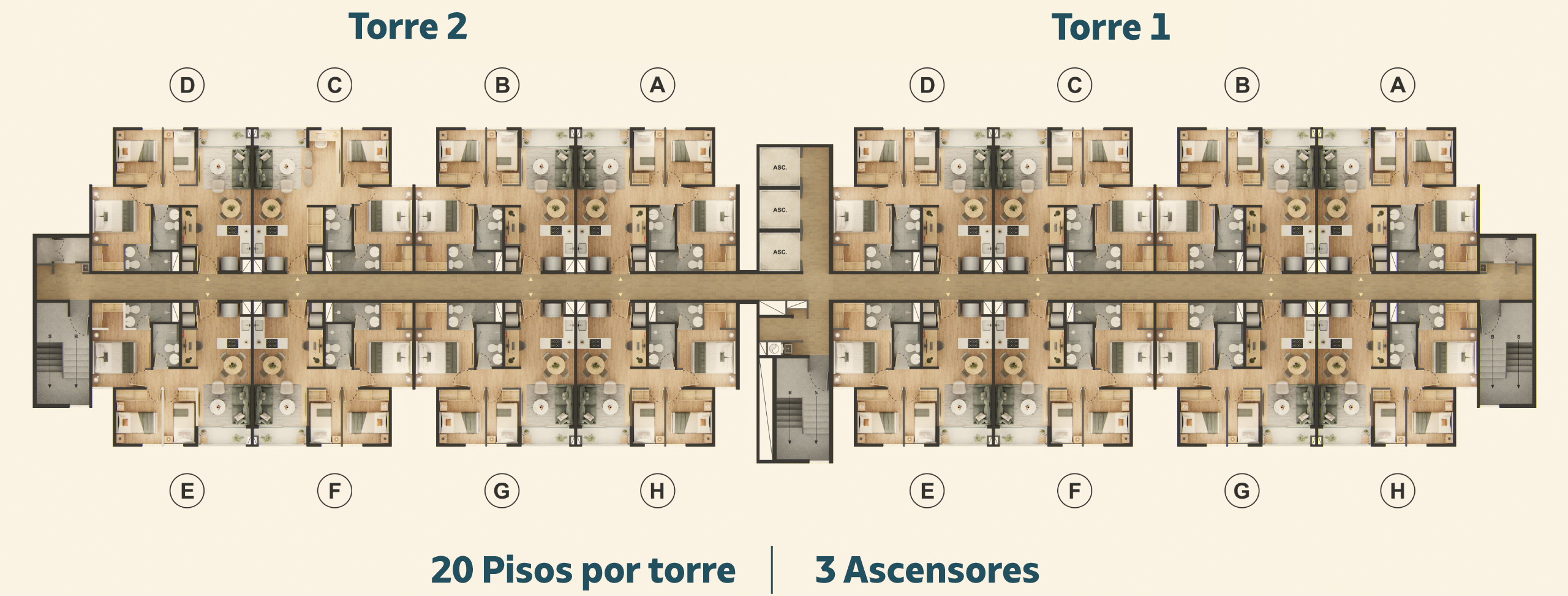 planta-tipica